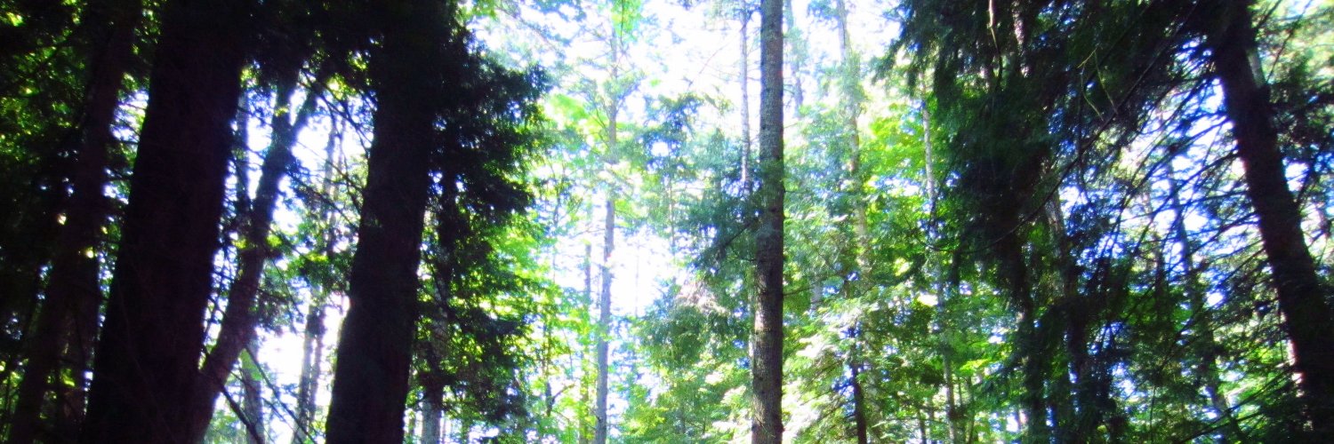 emma_jay4's profile banner image