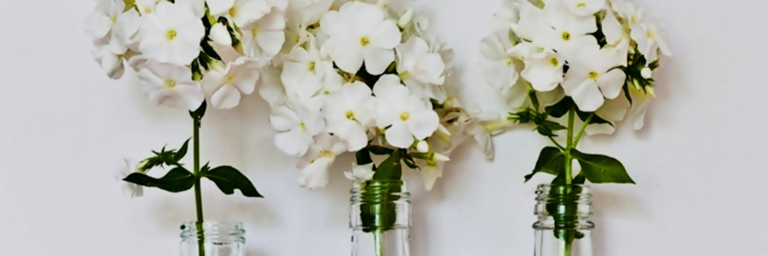 ashtonlogy's profile banner image