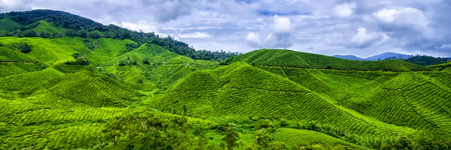 Tako Boris Fouotsa 🇨🇲 banner