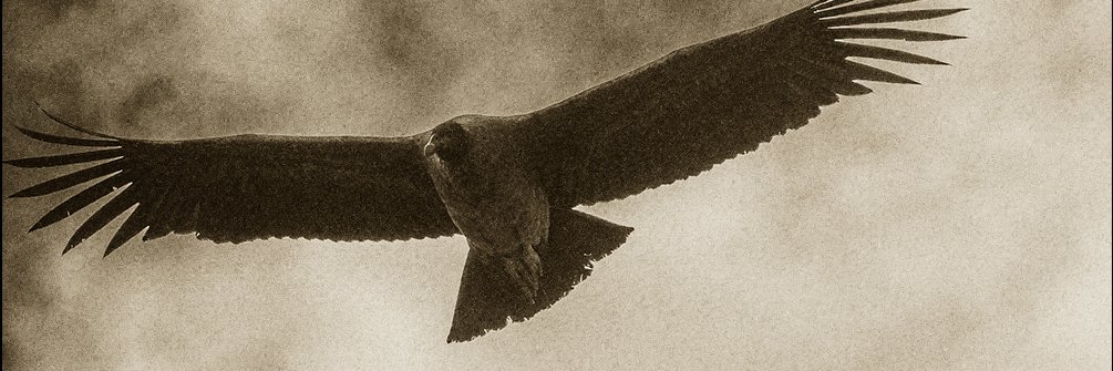 Joepfoley's profile banner image