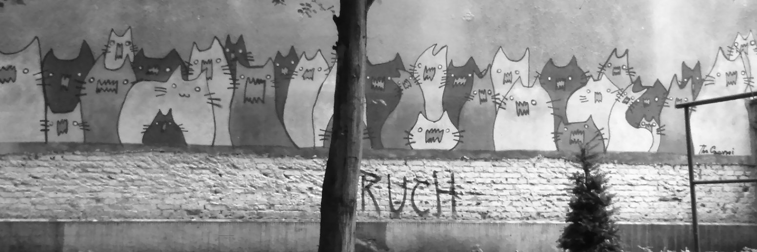 Li__Tsy's profile banner image
