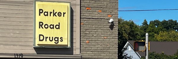 singletonion Profile Banner