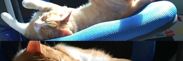 minkookcheese Profile Banner