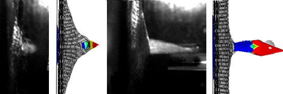 Dr Francisca Martínez Hergueta banner