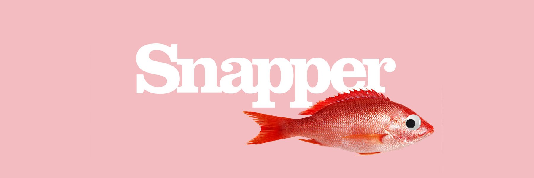 Snapper banner