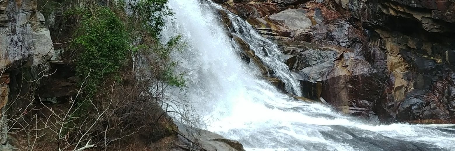 Jennifer Fassinger, M.ED. banner