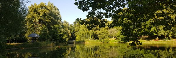 ChristophPlewe Profile Banner