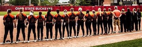 Mount Vernon Softball banner