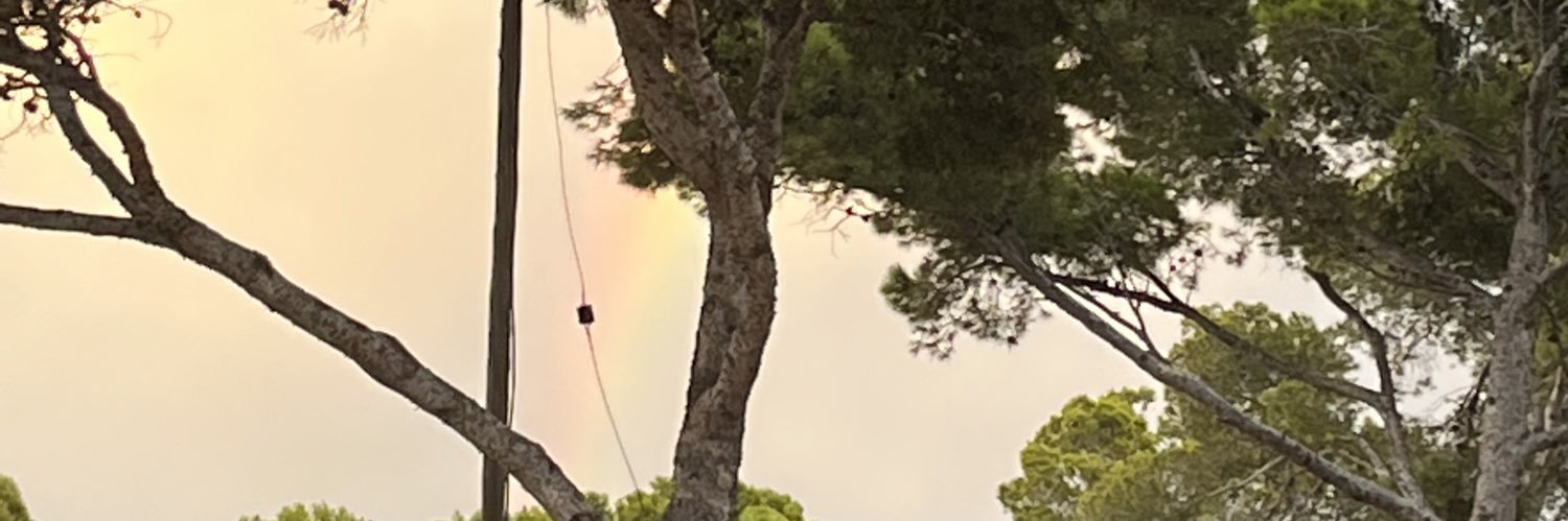 monikitaloki's profile banner image