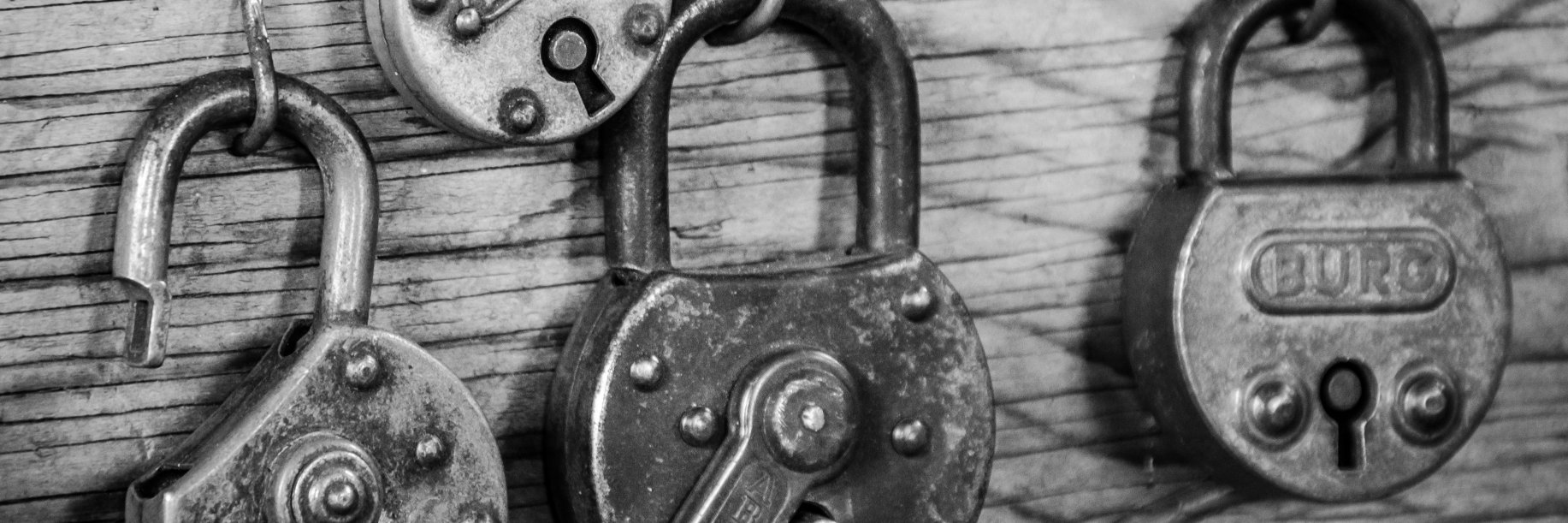 InterlockLedger banner