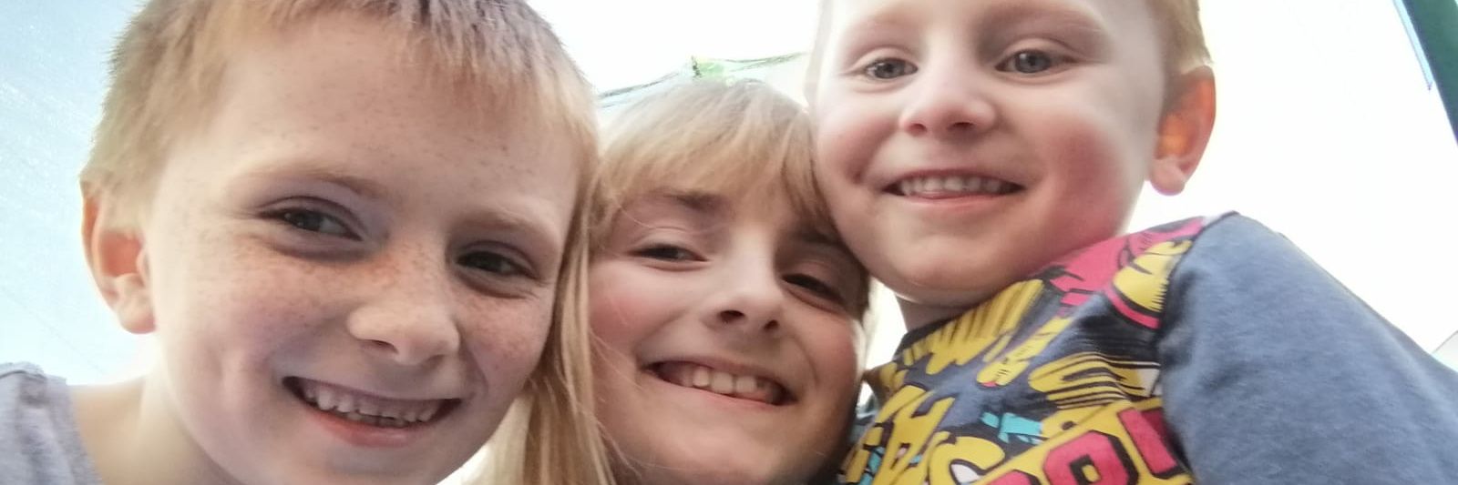 KellyLAnderson banner