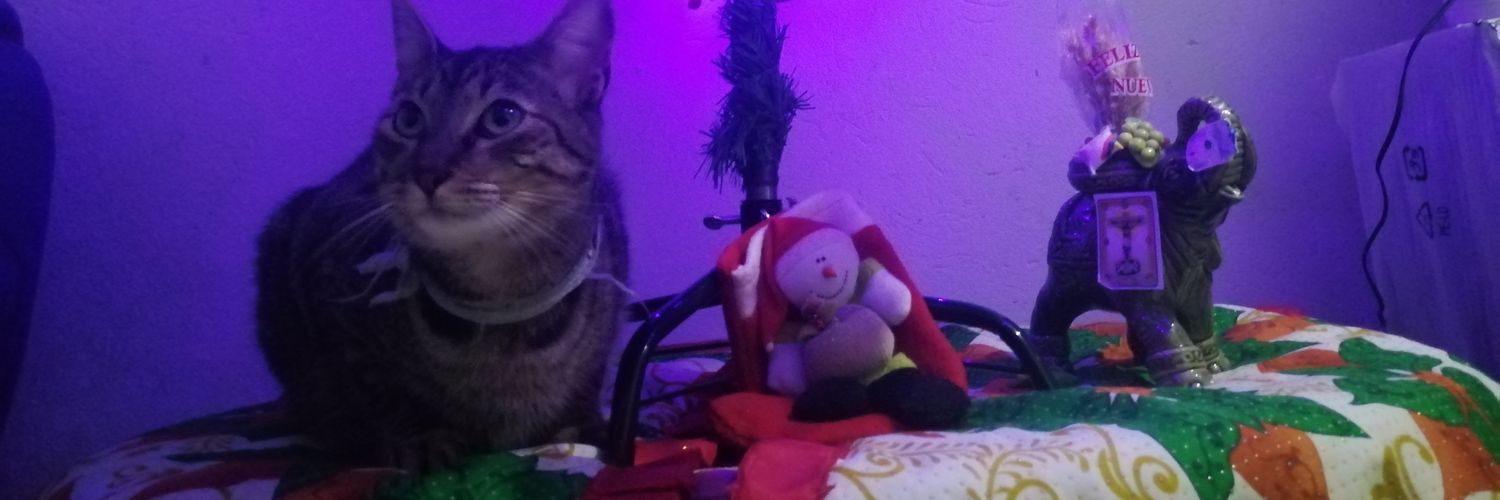 G_abrielaaa's profile banner image