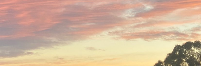 Judit Jimenez banner