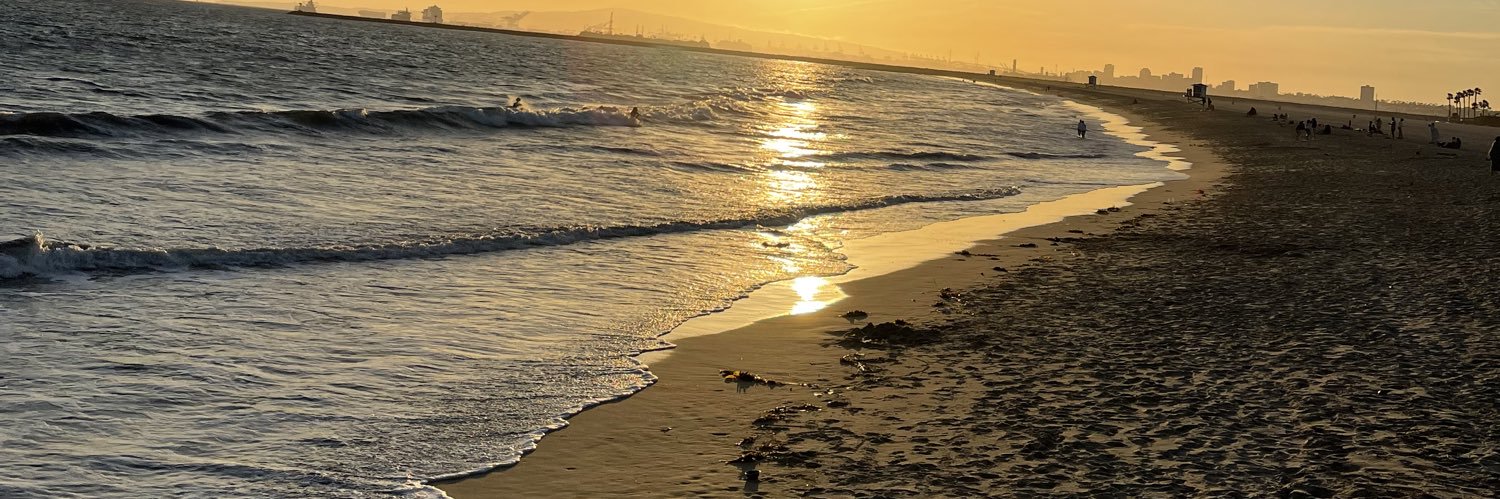 renee_brummels's profile banner image