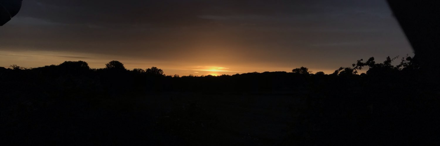 Zoë 🎗 banner