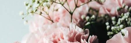 assatassa's profile banner image