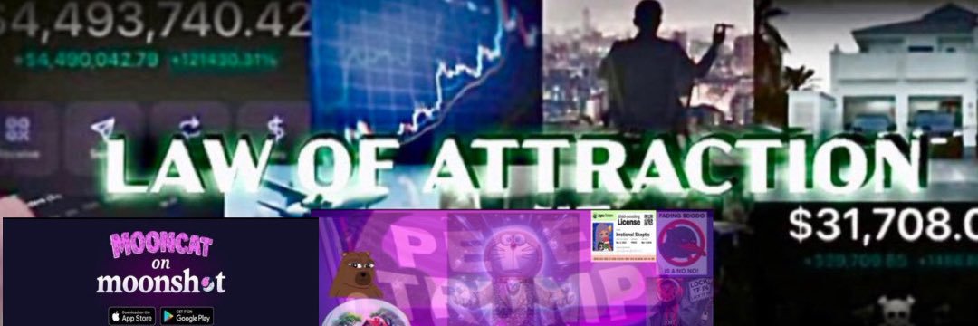 The Irrational Skeptic 📈🌙🐱 banner