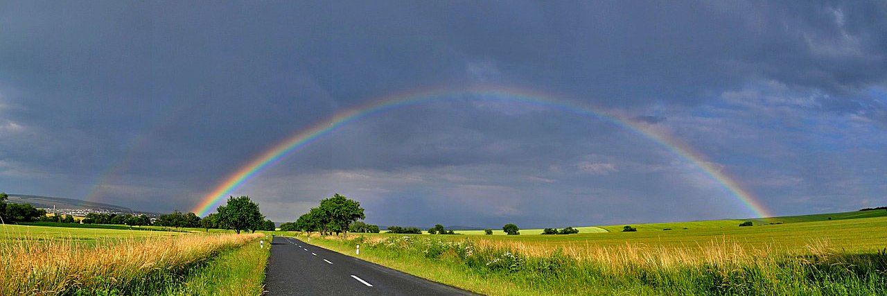 Seba Deleersnyder banner