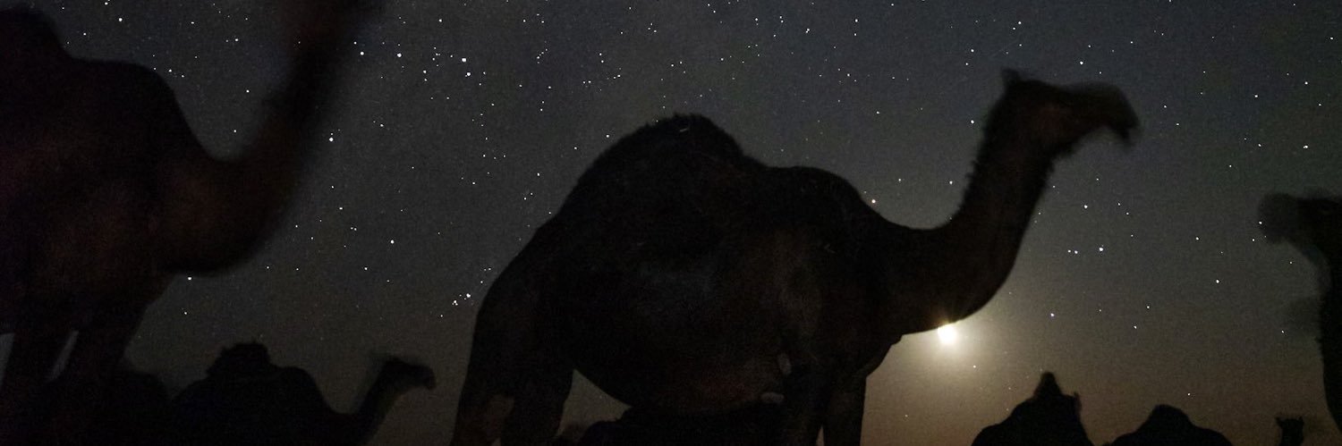 لا منتمي | banner