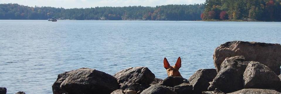 PaulPratten's profile banner image