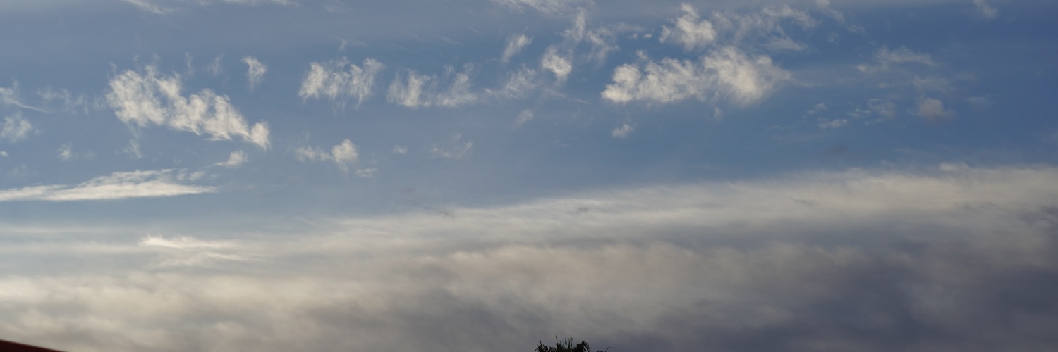 amypunt's profile banner image