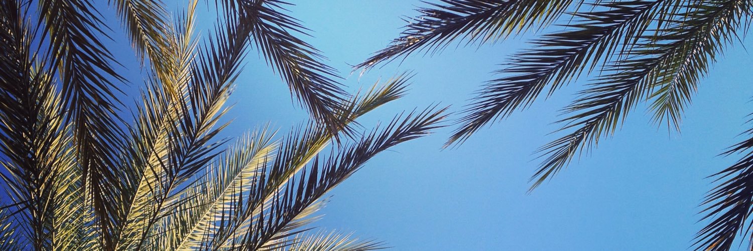 surfsupdon's profile banner image