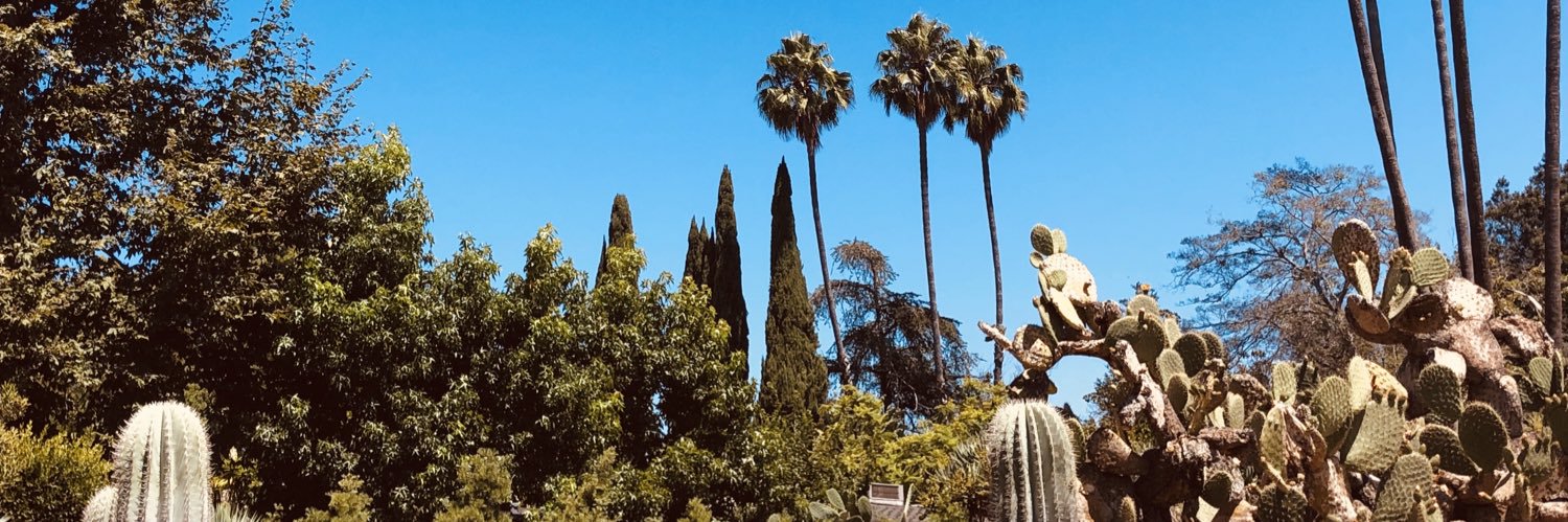 LexiePnt's profile banner image