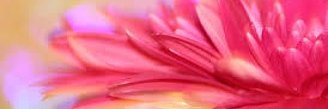 tak1113's profile banner image