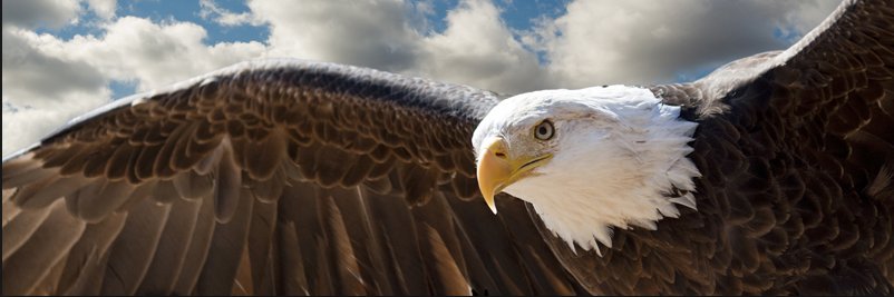 vanillatcp's profile banner image