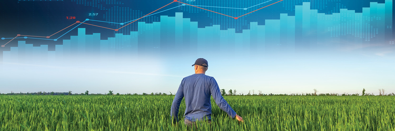 MarketsFarm | Glacier FarmMedia banner