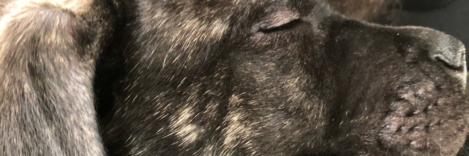 Bmarkovich57's profile banner image