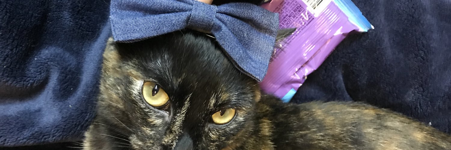 rochisdasd's profile banner image