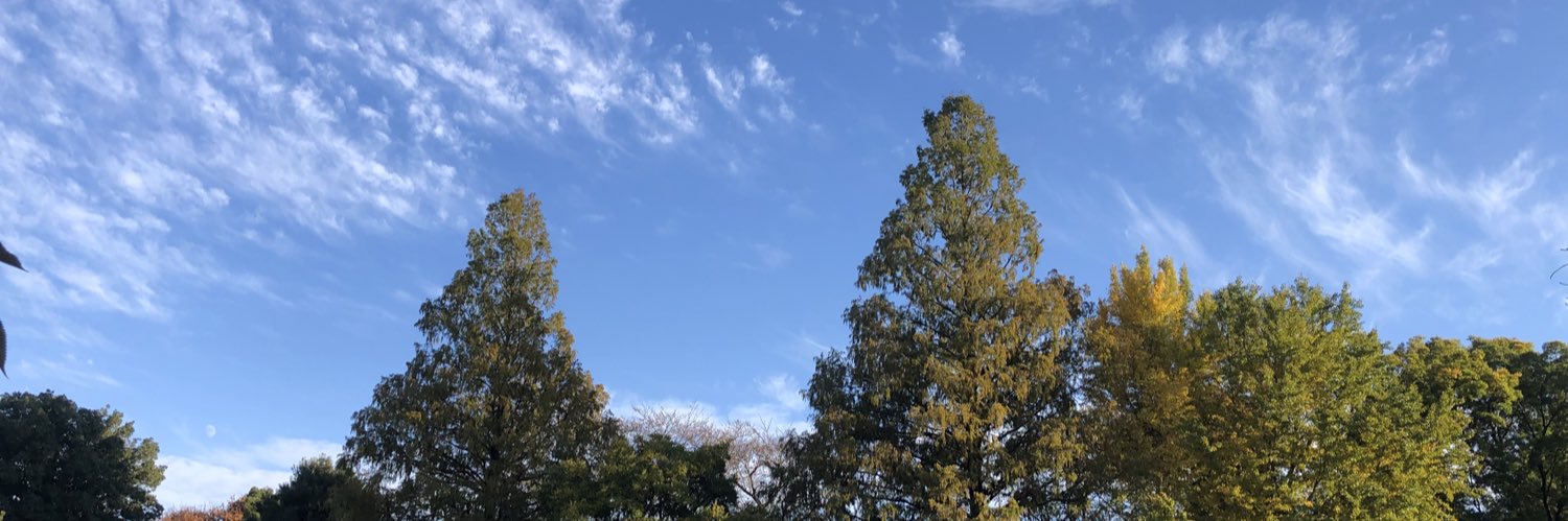 KazKatori's profile banner image