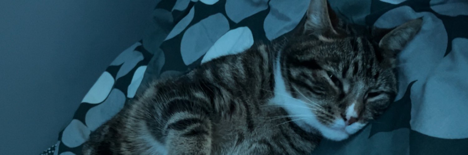 Timba▫️ banner