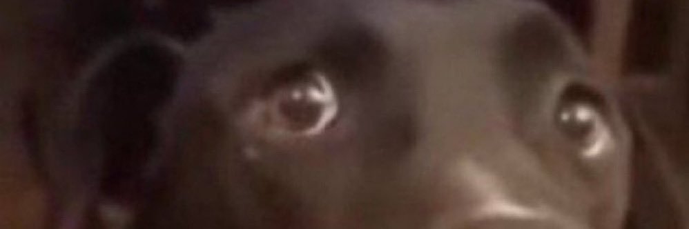 jrmhbailey's profile banner image