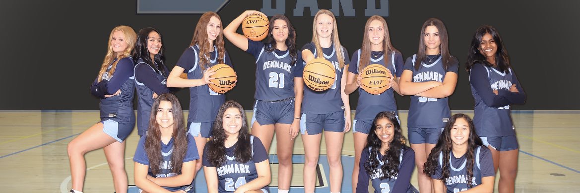 Lady Danes Basketball banner