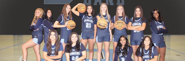 DenmarkHoops Profile Banner