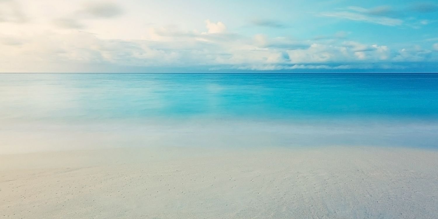 noelia_cepeda's profile banner image