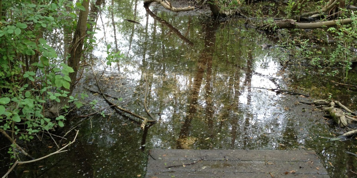 Arno Petit Robot banner