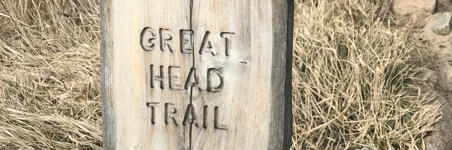 The Frozen Head of Charles Dingo banner