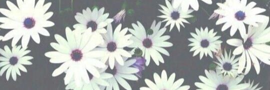 yaazlh's profile banner image
