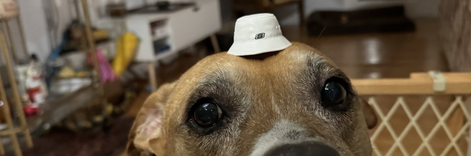 AlphaMexicanoT2's profile banner image