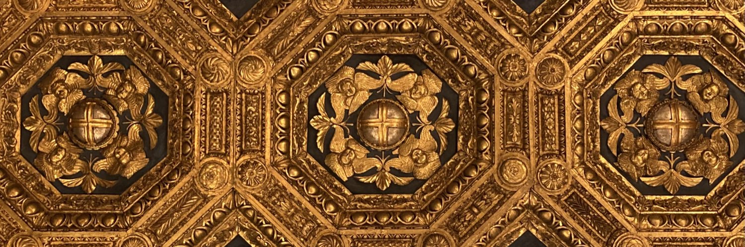 dodobianchi's profile banner image
