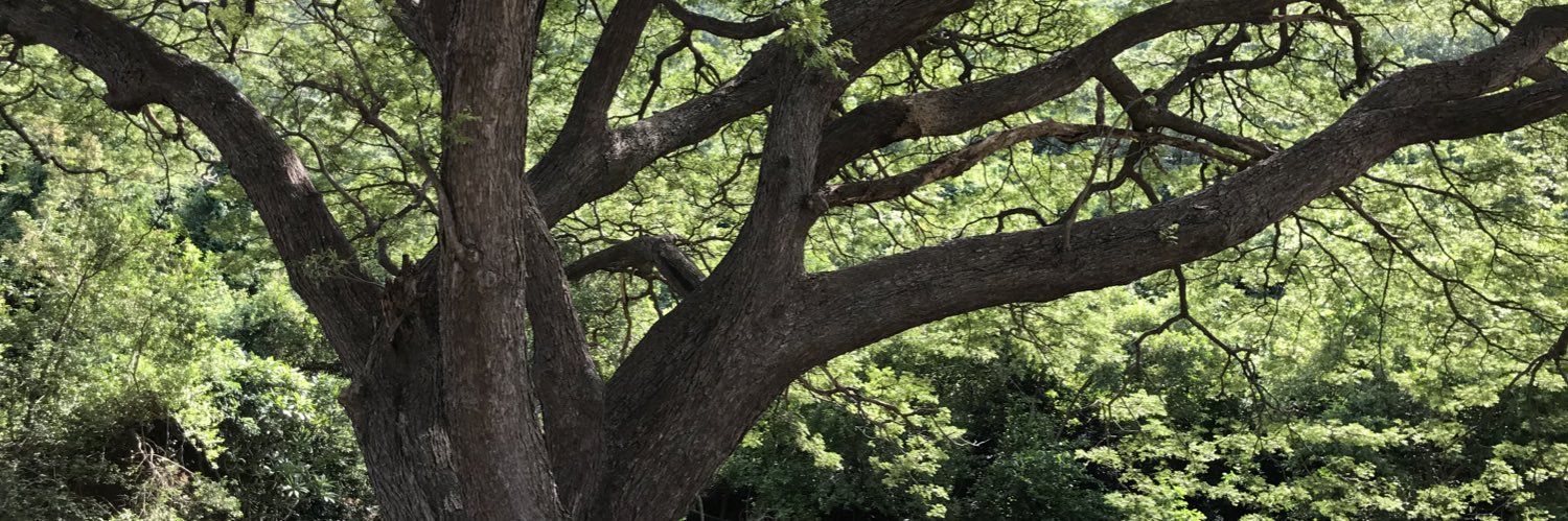 EddyWATc's profile banner image