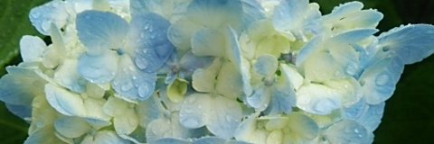 seika0712's profile banner image