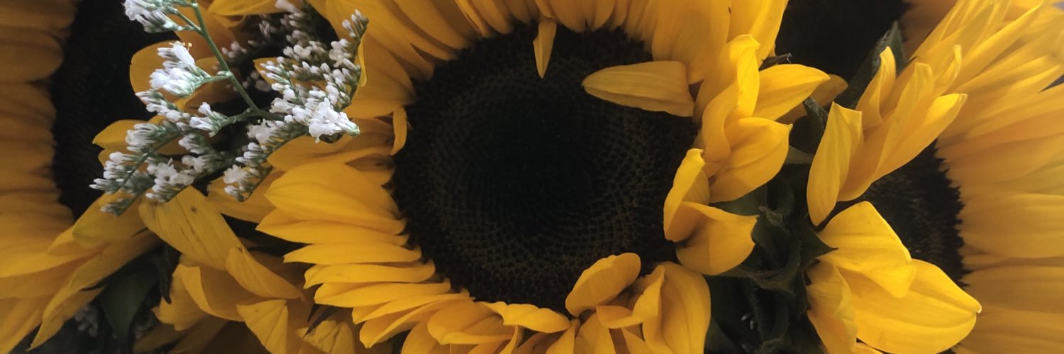 jamileegaton's profile banner image