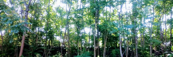 HotSandi Profile Banner