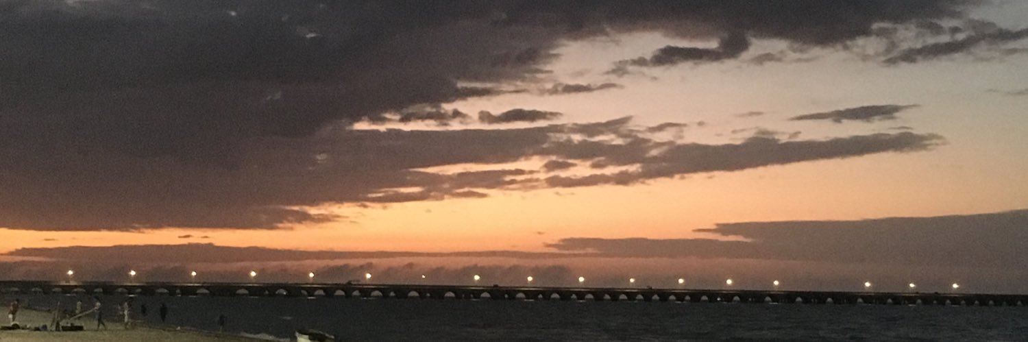 Ana Chuc Gamboa banner