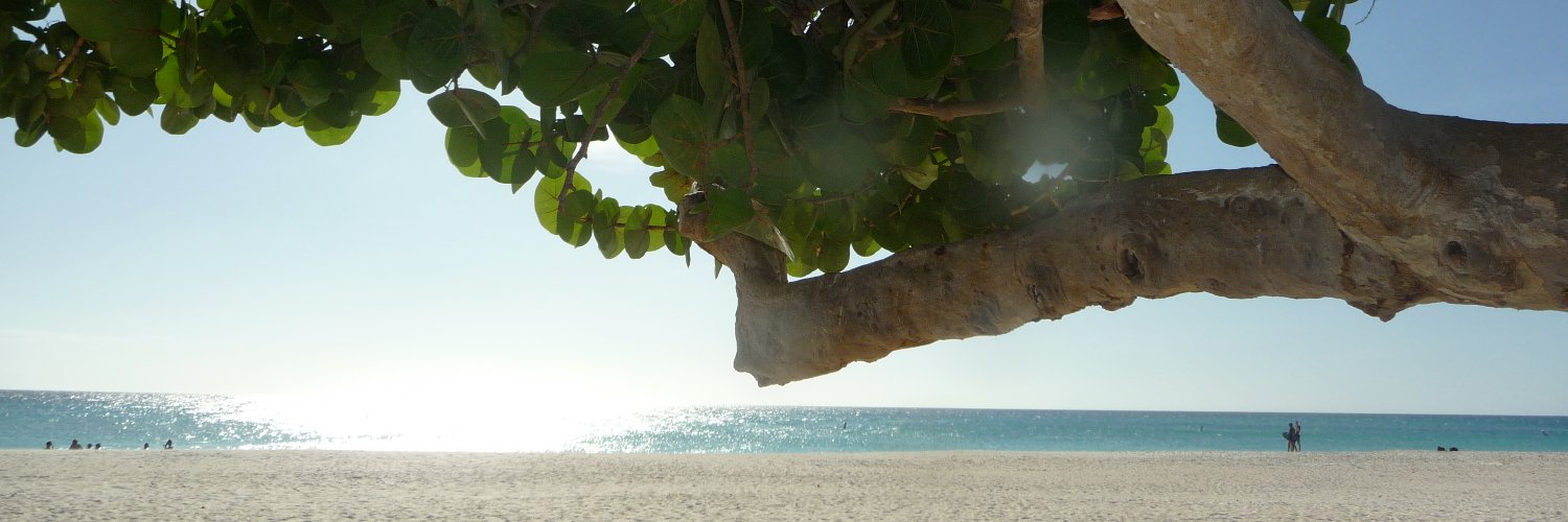 Tamara Knez banner