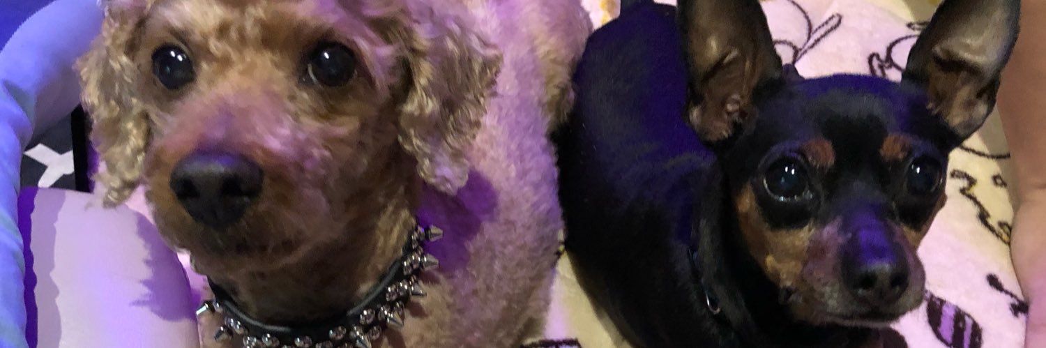 Lee23Beni's profile banner image
